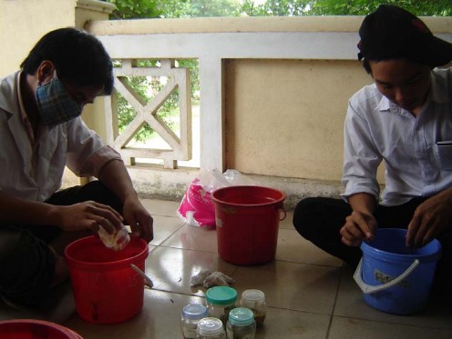 Hình 7 Trộn đều mẫu phân để phân tích Hình 8 Bố trí thí nghiệm nuôi 5