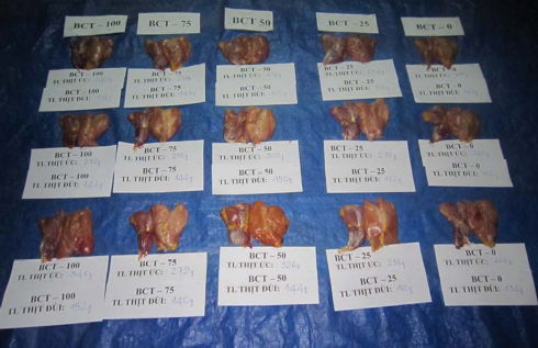 Hình 12 Thịt đùi và thịt ức gà Sao Hình 13 Thân thịt gà Sao 9