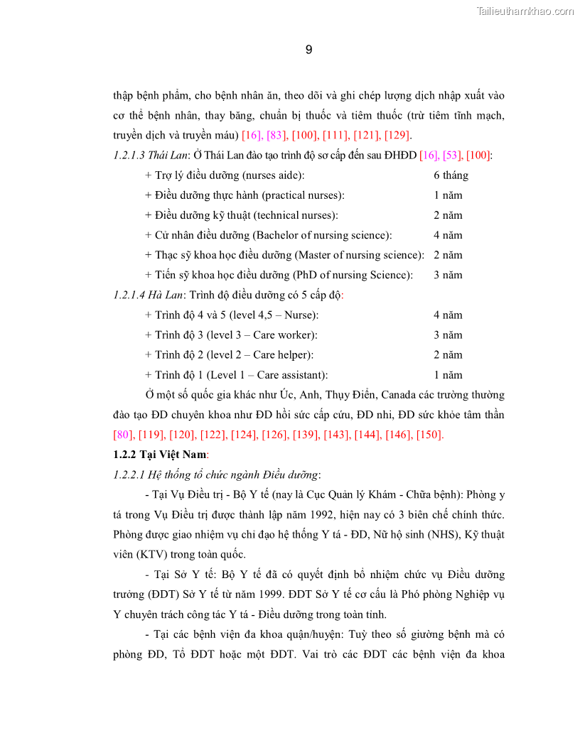 Luận án Tiến sĩ Y học Thực trạng và hiệu quả can thiệp nâng cao năng lực Điều dưỡng trưởng tại tỉnh Nghệ An - 2 Trang 9