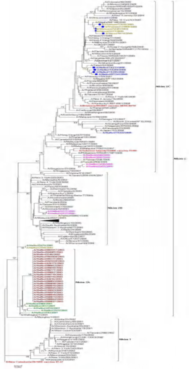 Hình 3 7 Câygia hệ phân đoạn gen mã hóa NAcác chủng cúm A H1N1 2001 2009 Hình 3 8 2