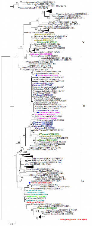 Hình 3 14 Cây gia hệ phân đoạn gen mã hóa NA các chủng cúm A H5N1 2003 2010 5