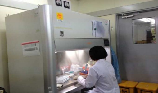 Hình ảnh làm việc tại phòng thí nghiệm ATSH cấp 3 1