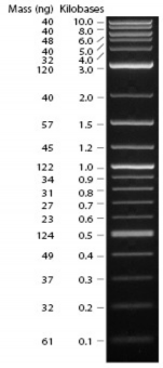 Mẫu sản phẩm PCR Số lượng Hình 2 1 Thang chỉ thị phân tử chuẩn 1 kb 1