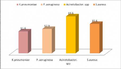 Biểu đồ 3 7 Tỷ lệ nhiễm một số loài vi khuẩn thường gặp trên bệnh nhi xin 1