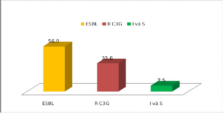 Biểu đồ 3 13 Tỷ lệ sinh ESBLs của các chủng K pnemoniae phân lập được 2