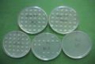 Hình 3 1 Hình ảnh kết quả MIC trên môi trường đặc 3 3 Xác định tỷ lệ 1