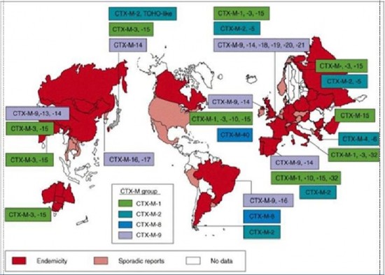 Hình 1 11 Hình ảnh phân bố gen CTX M 109 1 6 2 Tình hình nhiễm và kháng kháng sinh 2