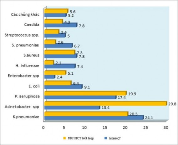Biểu đồ 3 2 Sự phân bố của các loài vi khuẩn phân lập được ở hai nhóm 3