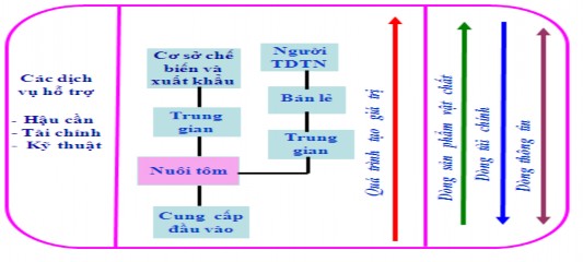 Sơ đồ 1 9 Mô hình chuỗi cung sản phẩm tôm nuôi Nguồn 59 dẫn theo 56 và mô 19