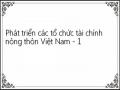 Phát triển các tổ chức tài chính nông thôn Việt Nam - 1