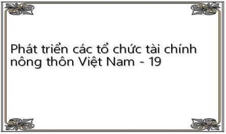 Phát triển các tổ chức tài chính nông thôn Việt Nam - 19