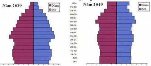Hình 2 7 Tháp dân số dự báo của Việt Nam 2029 2049 Nguồn Số liệu dự báo 3