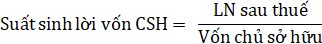 Điều này có ý nghĩa là 1 đồng vốn CSH bỏ vào kinh doanh mang lại bao nhiêu 4