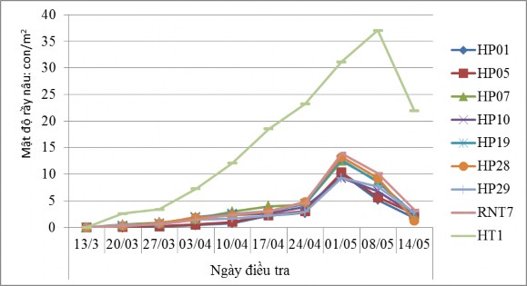 Hình 3 4 Đồ thị diễn biến mật độ rầy nâu trên các giống thí nghiệm tại 3
