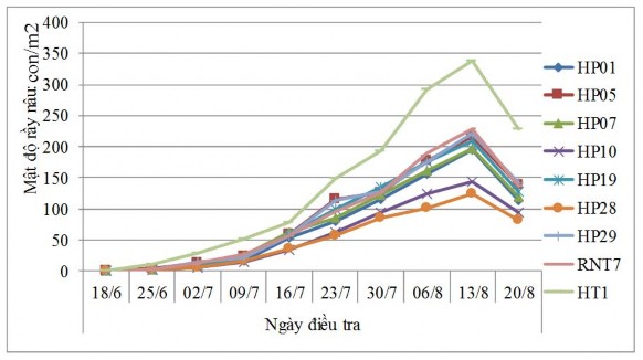 Hình 3 5 Đồ thị diễn biến mật độ rầy nâu trên các giống thí nghiệm tại 1
