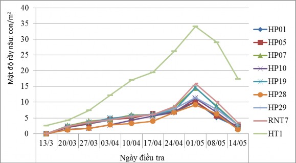 Hình 3 6 Đồ thị diễn biến mật độ rầy nâu trên các giống thí nghiệm tại 2