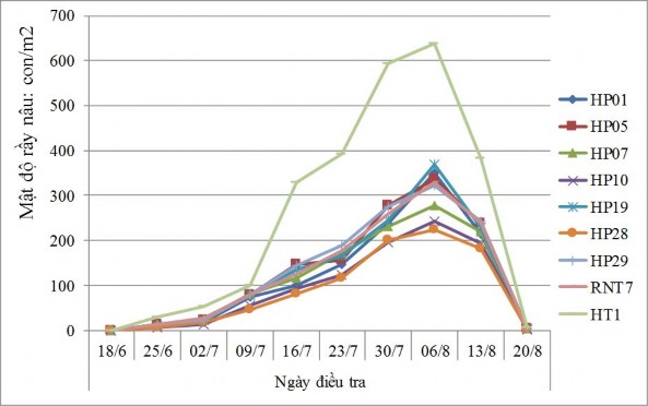 Hình 3 7 Đồ thị diễn biến mật độ rầy nâu trên các giống thí nghiệm tại 1
