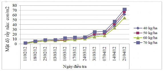 Hình 3 8 Đồ thị diễn biến rầy nâu trên các công thức thí nghiệm mật độ 1