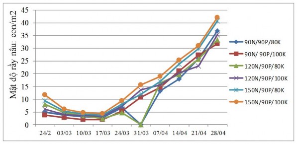 Hình 3 16 Đồ thị diễn biến mật độ rầy nâu trên các tổ hợp phân bón trong 1