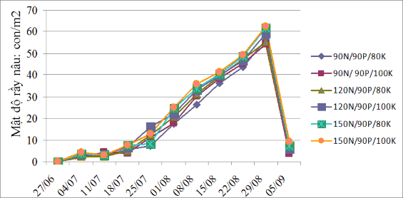 Hình 3 17 Đồ thị diễn biến mật độ rầy nâu trên các tổ hợp phân bón trong 2