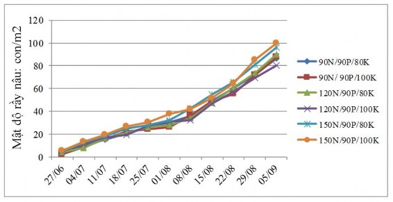 Hình 3 19 Đồ thị diễn biến mật độ rầy nâu trên các tổ hợp phân bón trong 2