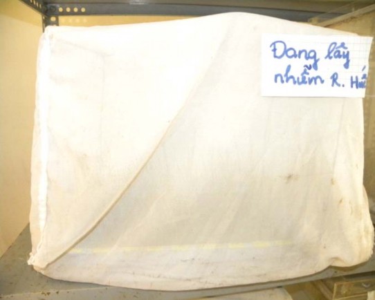 Hình 2 Đ ánh giá tính kháng r ầ y nâu c ủ a các gi ố ng lúa nghiên c ứ u b ằ 4