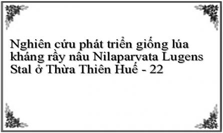 Nghiên cứu phát triển giống lúa kháng rầy nâu Nilaparvata Lugens Stal ở Thừa Thiên Huế - 22