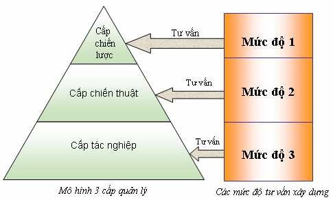 Hình 2 1 Mối quan hệ giữa mô hình các cấp quản lý và các mức độ tư vấn 2