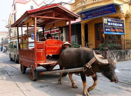 Du lịch Bát Tràng bằng xe trâu Chợ gốm làng cổ Bát Tràng Du khách thử làm thợ 9