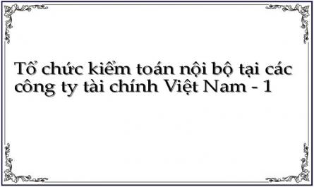 Tổ chức kiểm toán nội bộ tại các công ty tài chính Việt Nam - 1