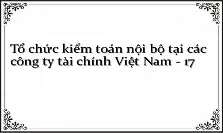 Đánh Giá Thực Trạng Tổ Chức Kiểm Toán Nội Bộ Tại Các Công Ty Tài Chính Việt Nam