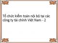 Tổ chức kiểm toán nội bộ tại các công ty tài chính Việt Nam - 2