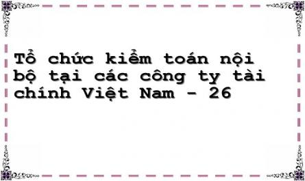 Tổ chức kiểm toán nội bộ tại các công ty tài chính Việt Nam - 26
