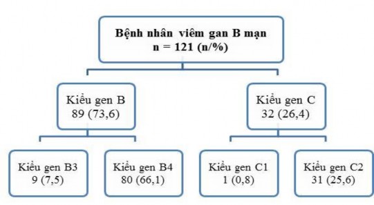 Hình 3 1 Xét nghiệm kiểu gen của vi rút viêm gan B n 121 Trong 202 BN nghiên cứu 2