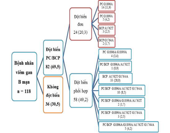 Hình 3 3 Phân bố các đột biến PC BCP n 118 Kết quả hình 3 3 nhận thấy có 2