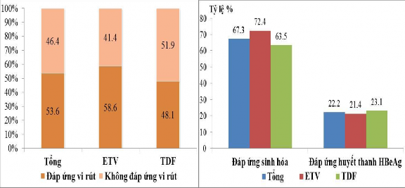 Biểu đồ 3 25 Hiệu quả điều trị thuốc kháng vi rút Đáp ứng vi rút n 110 1