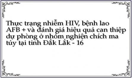 Thực trạng nhiễm HIV, bệnh lao AFB + và đánh giá hiệu quả can thiệp dự phòng ở nhóm nghiện chích ma túy tại tỉnh Đắk Lắk - 16