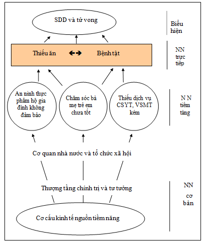 Sơ đồ 1 1 Nguyên nhân suy dinh dưỡng và tử vong ở trẻ em Sơ đồ trên cho 1