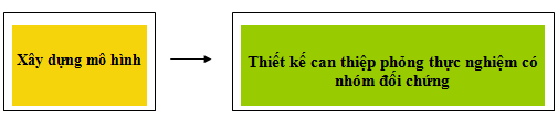 Sơ đồ 2 1 Thiết kế can thiệp tổng thể Để xây dựng mô hình can thiệp và 1