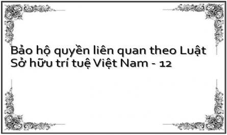 Bảo hộ quyền liên quan theo Luật Sở hữu trí tuệ Việt Nam - 12