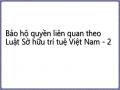 Bảo hộ quyền liên quan theo Luật Sở hữu trí tuệ Việt Nam - 2