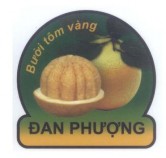 Ngày nộp đơn 24 06 2011 Số đơn 4 2011 12699 Sản phẩm Bưởi tôm vàng Chủ 1