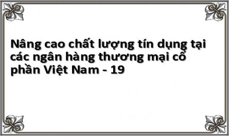 Nâng cao chất lượng tín dụng tại các ngân hàng thương mại cổ phần Việt Nam 1669220937 - 19