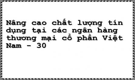 Nâng cao chất lượng tín dụng tại các ngân hàng thương mại cổ phần Việt Nam 1669220937 - 30