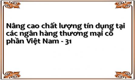 Nâng cao chất lượng tín dụng tại các ngân hàng thương mại cổ phần Việt Nam 1669220937 - 31