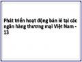Phát triển hoạt động bán lẻ tại các ngân hàng thương mại Việt Nam - 13