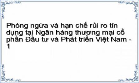 Phòng ngừa và hạn chế rủi ro tín dụng tại Ngân hàng thương mại cổ phần Đầu tư và Phát triển Việt Nam - 1