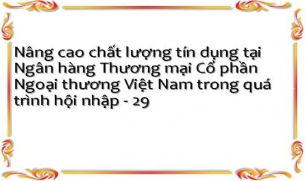 Nâng cao chất lượng tín dụng tại Ngân hàng Thương mại Cổ phần Ngoại thương Việt Nam trong quá trình hội nhập - 29
