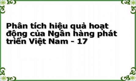 Phân tích hiệu quả hoạt động của Ngân hàng phát triển Việt Nam - 17
