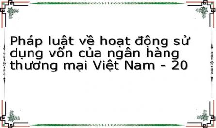 Pháp luật về hoạt động sử dụng vốn của ngân hàng thương mại Việt Nam - 20